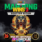Mahjong Wins 3