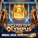 Modal Kecil Hasilnya Gokil